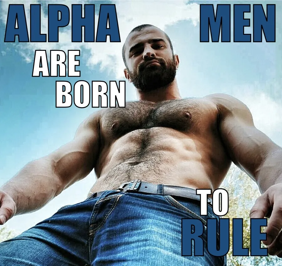 Homme Alpha definiton vocabulaire gay