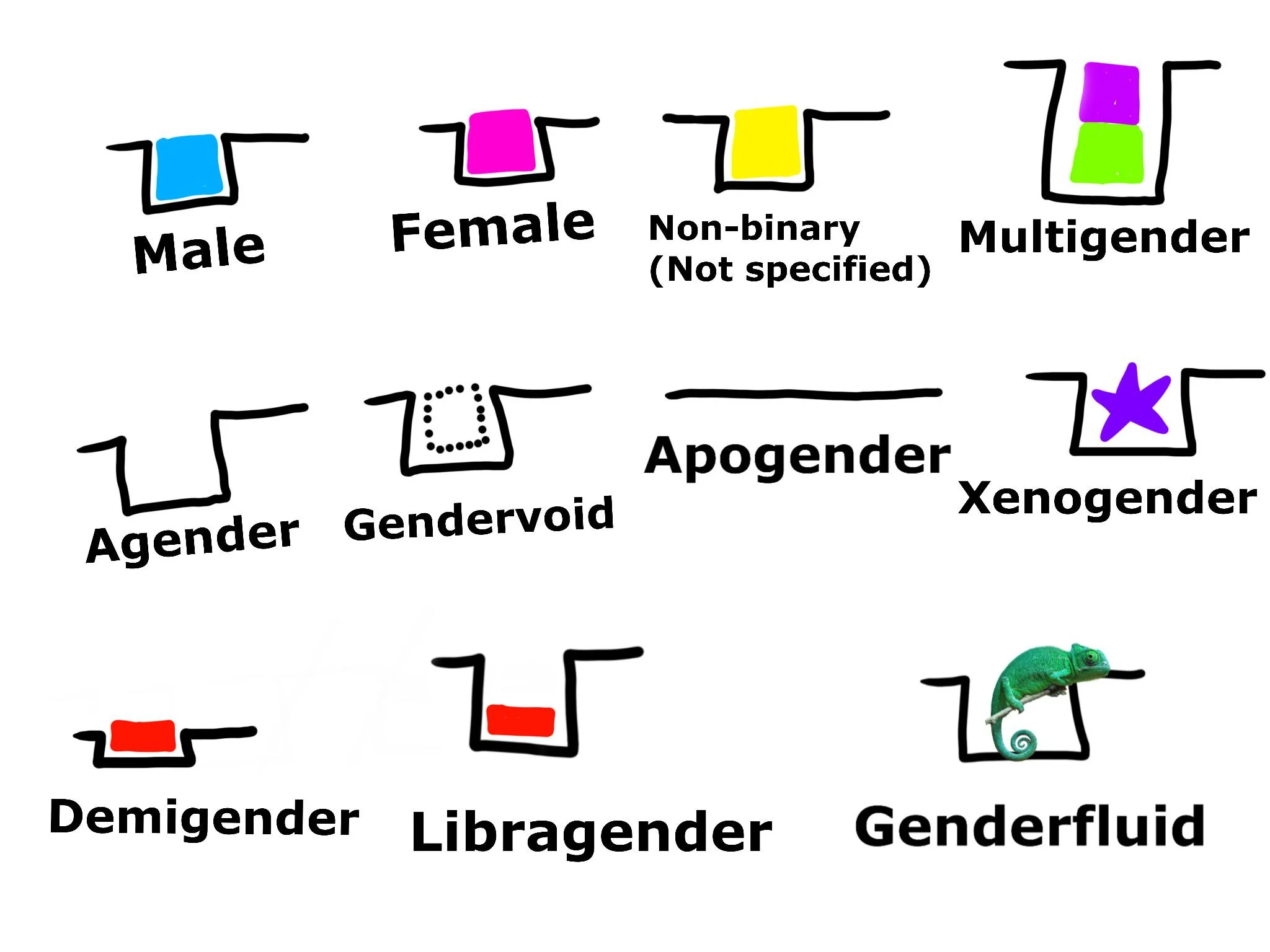 Apogender example définition du genre