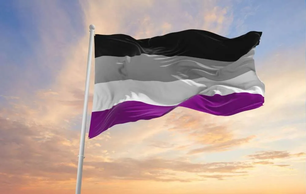 Asexualité la définition du vocabulaire gay
