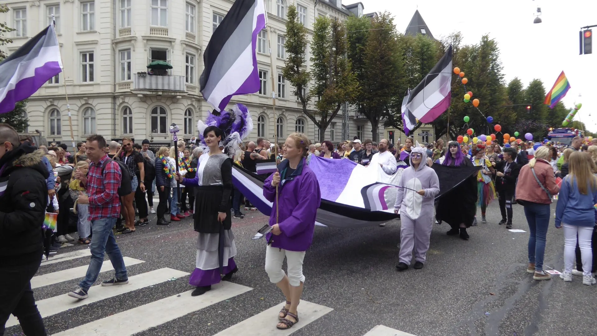 Asexualité terme vocabulaire gay