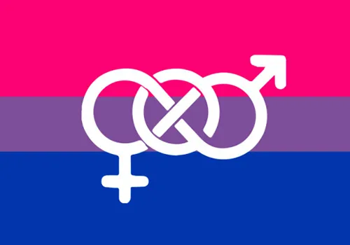 drapeau communauté bicurieux bicurious bicurieuse
