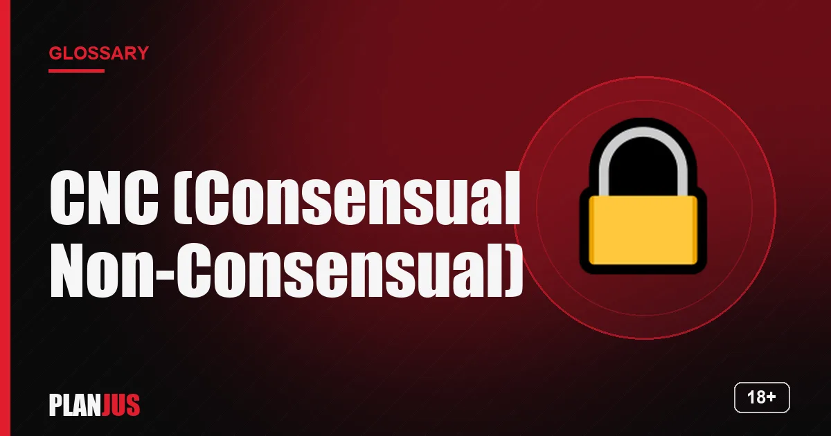 Illustration for the term “CNC (Consensual Non-Consensual)” – PLANJUS glossary