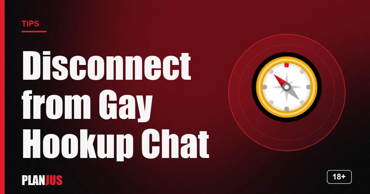 Illustration: Disconnect from Gay Hookup Chat – PLANJUS tips