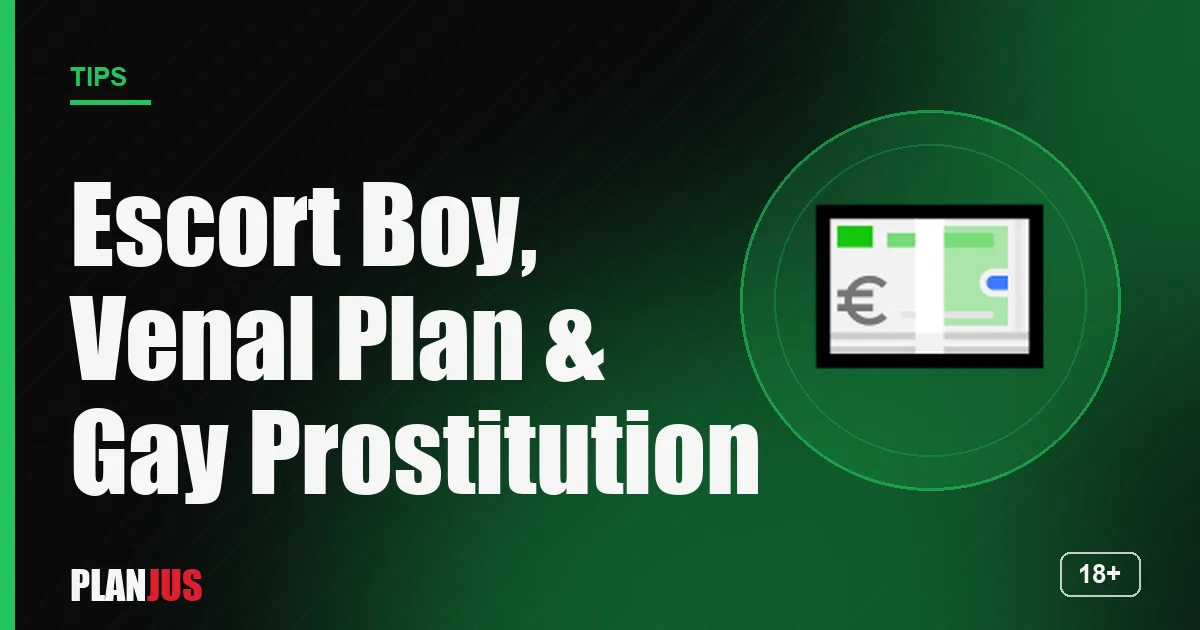 Illustration: Escort Boy, Venal Plan & Gay Prostitution – PLANJUS tips