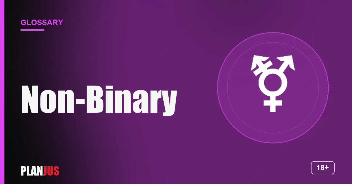 Illustration for the term “Non-Binary” – PLANJUS glossary