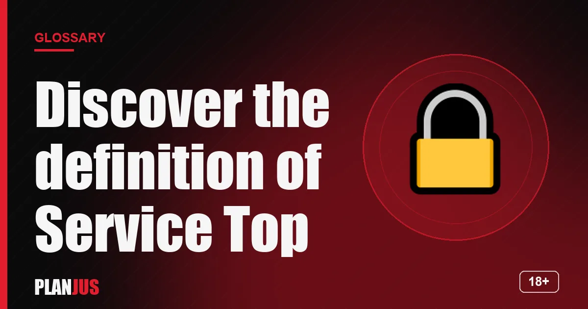 Illustration for the term “Discover the definition of Service Top” – PLANJUS glossary