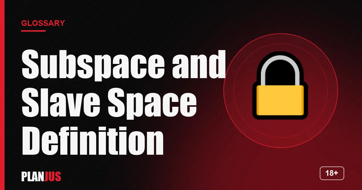 Illustration for the term “Subspace and Slave Space Definition” – PLANJUS glossary
