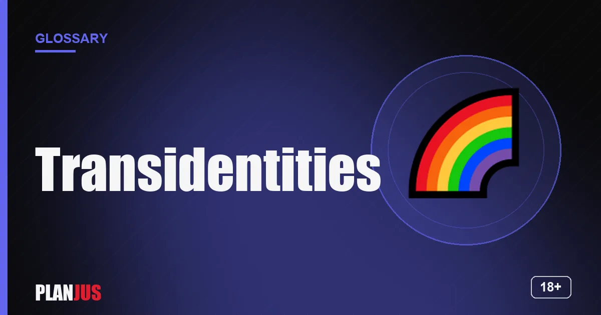 Illustration for the term “Transidentities” – PLANJUS glossary