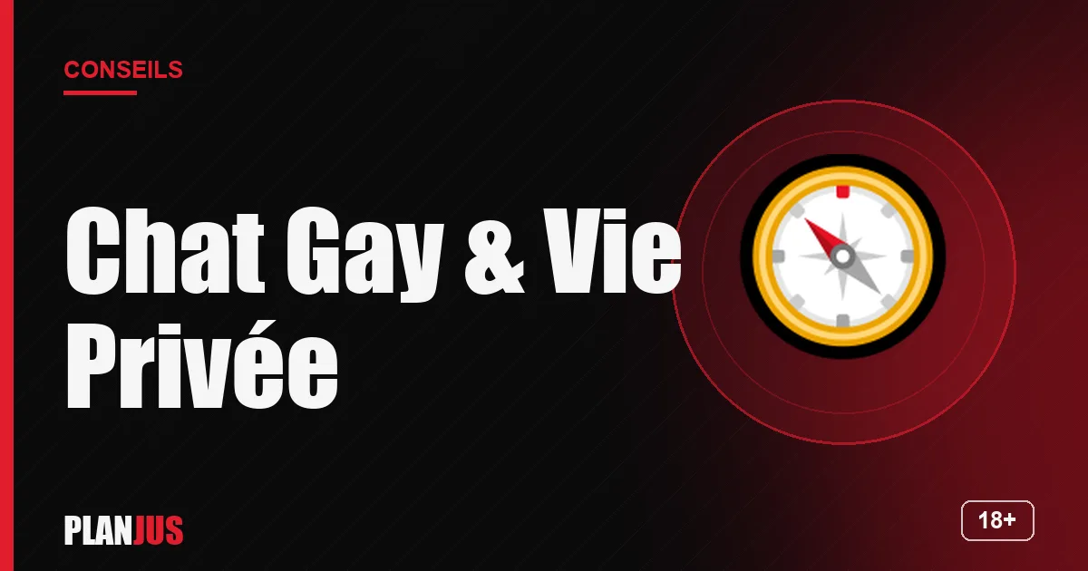 Illustration : Chat Gay & Vie Privée – conseils PLANJUS