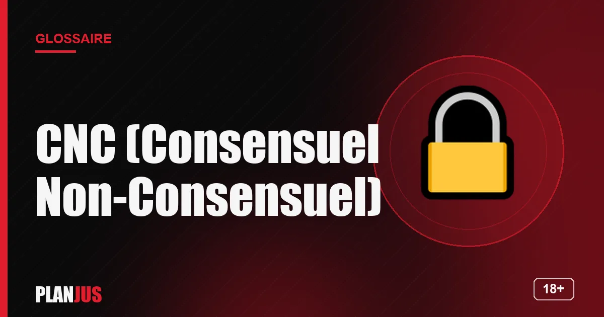 Illustration du terme « CNC (Consensuel Non-Consensuel) » – glossaire PLANJUS