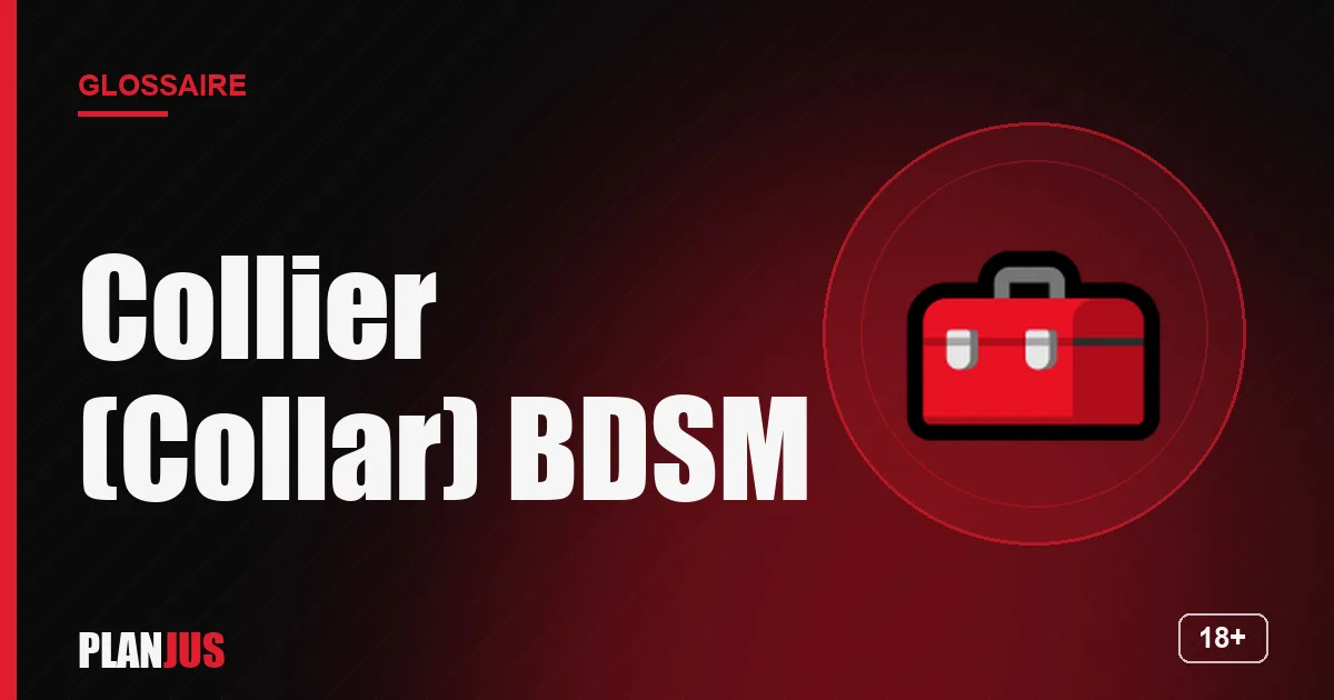 Illustration du terme « Collier (Collar) BDSM » – glossaire PLANJUS