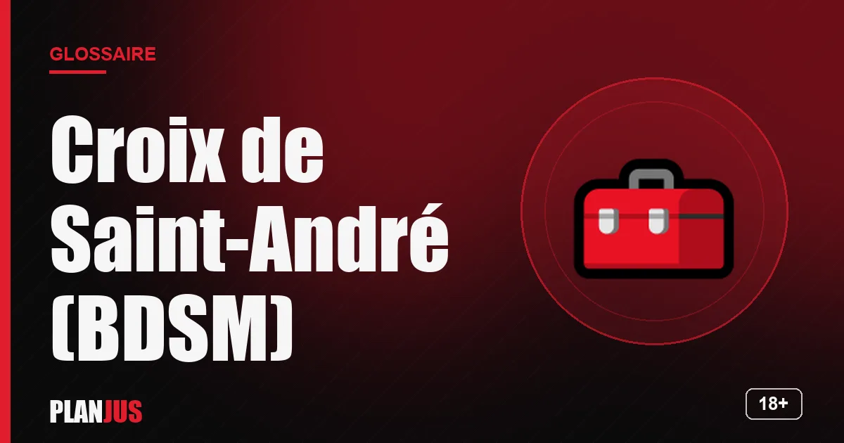 Illustration du terme « Croix de Saint-André (BDSM) » – glossaire PLANJUS