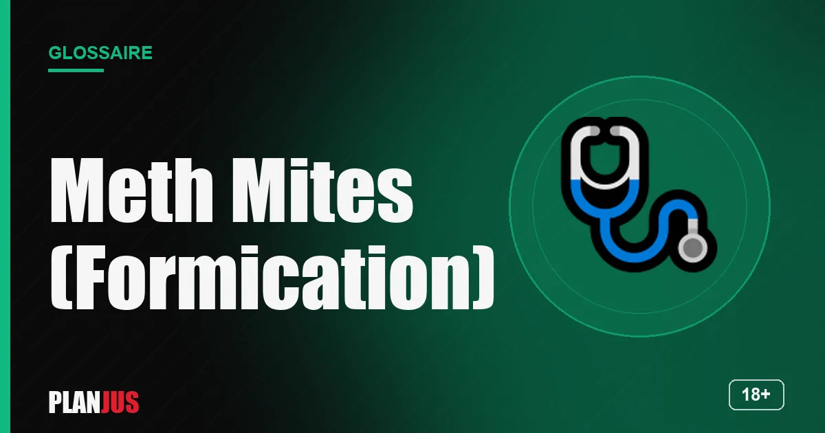 Illustration du terme « Meth Mites (Formication) » – glossaire PLANJUS