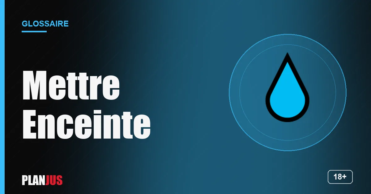 Illustration du terme « Mettre Enceinte » – glossaire PLANJUS