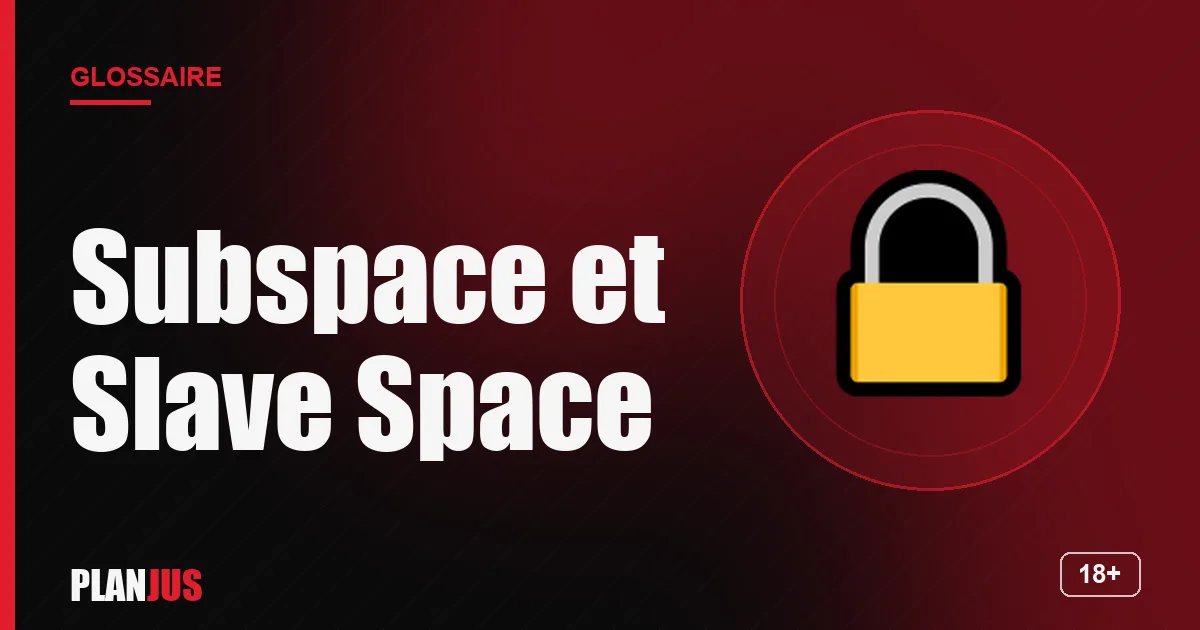 Illustration du terme « Subspace et Slave Space » – glossaire PLANJUS