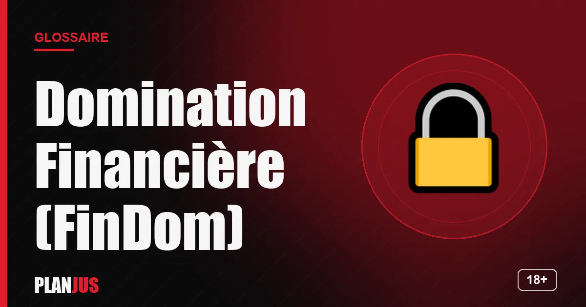 Illustration du terme « Domination Financière (FinDom) » – glossaire PLANJUS