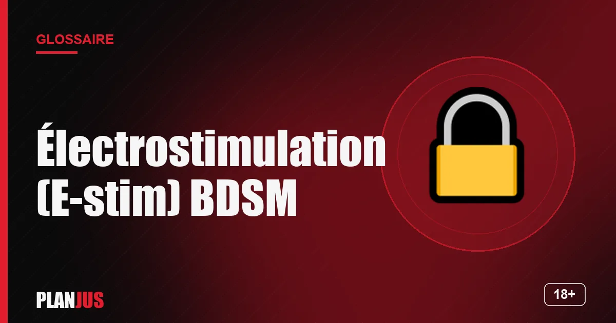 Illustration du terme « Électrostimulation (E-stim) BDSM » – glossaire PLANJUS