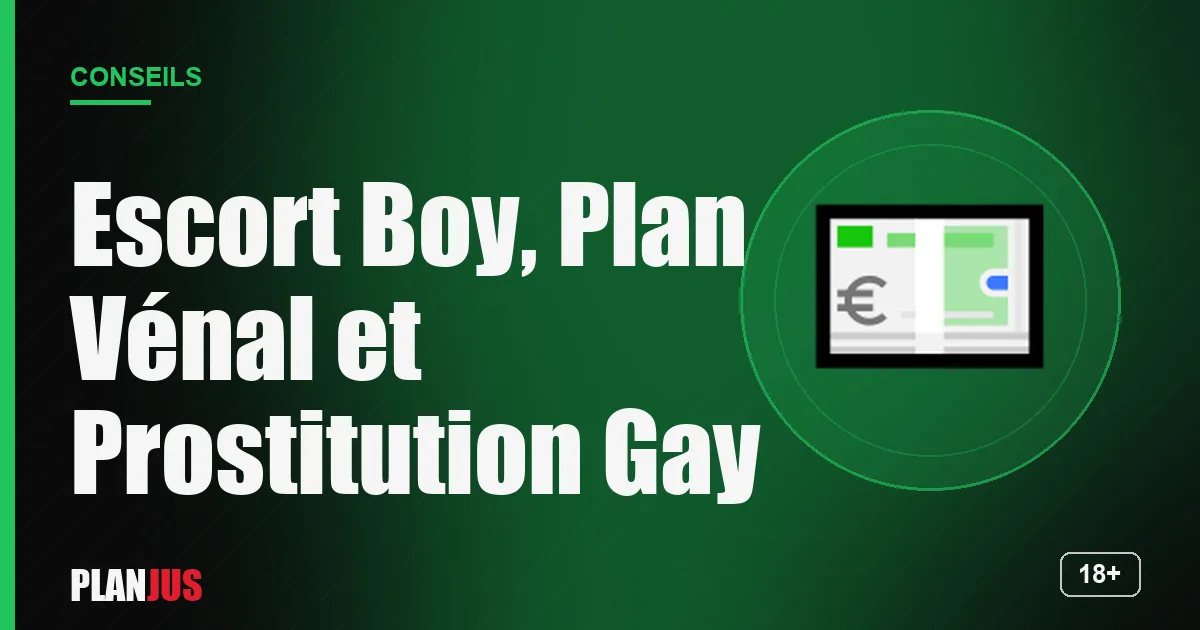 Illustration : Escort Boy, Plan Vénal et Prostitution Gay – conseils PLANJUS