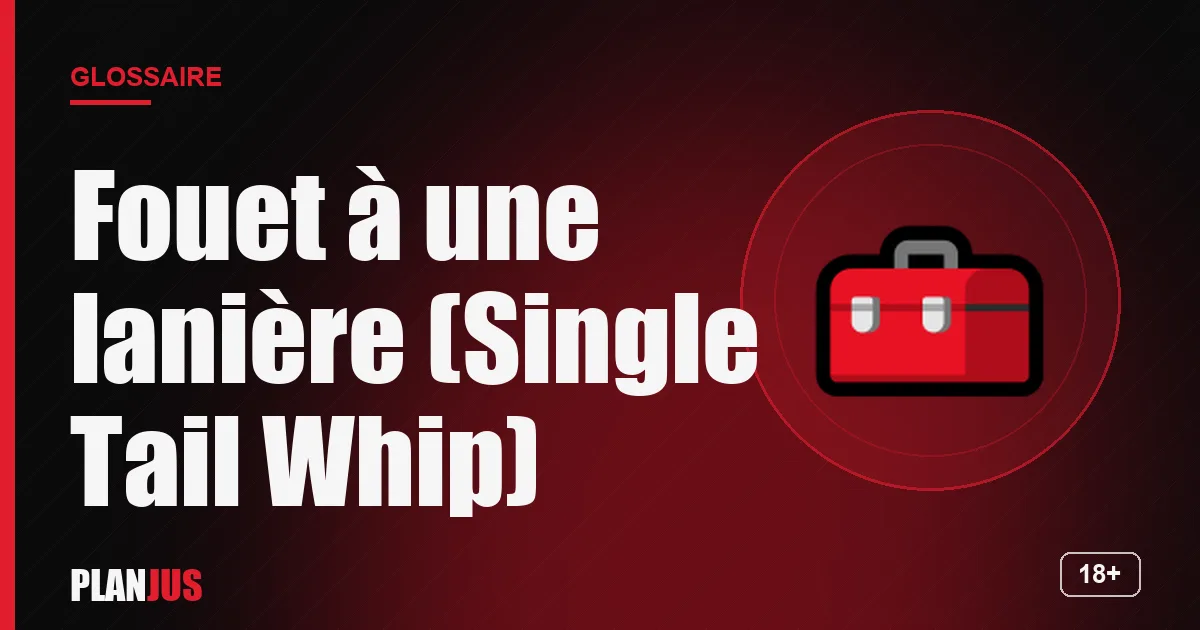 Illustration du terme « Fouet à une lanière (Single Tail Whip) » – glossaire PLANJUS