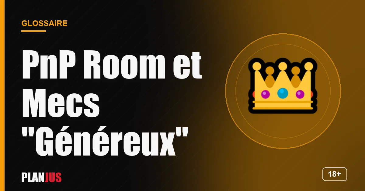 Illustration du terme « PnP Room et Mecs "Généreux" » – glossaire PLANJUS