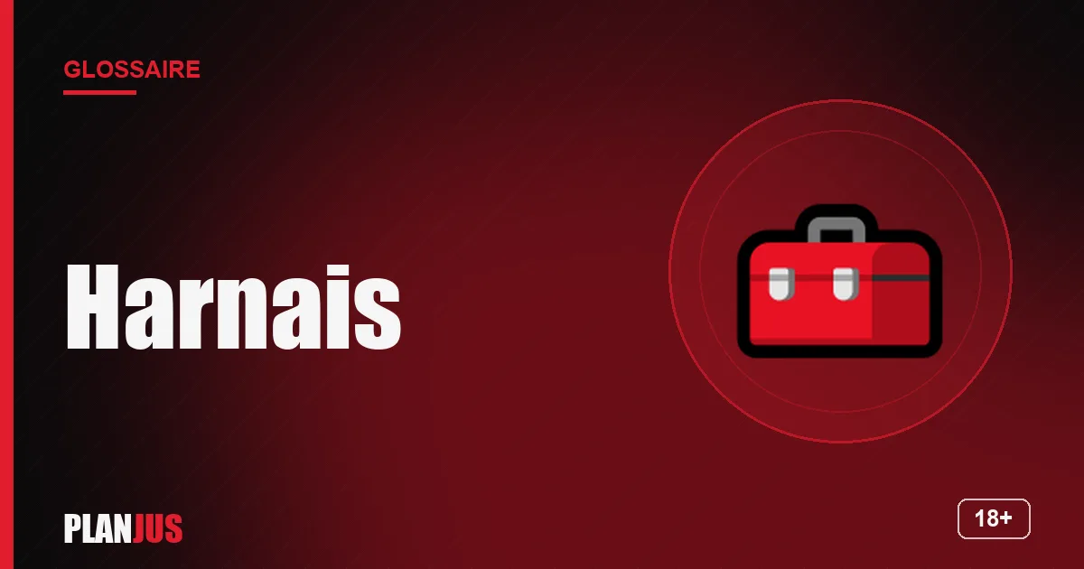 Illustration du terme « Harnais » – glossaire PLANJUS