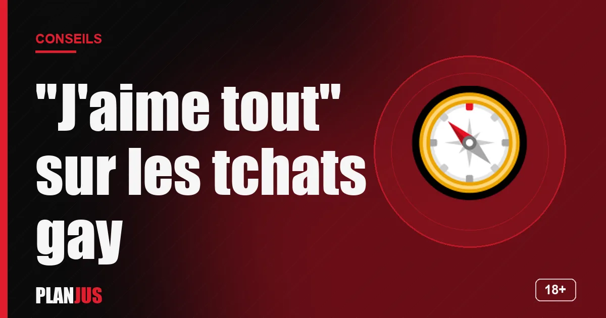 Illustration : "J'aime tout" sur les tchats gay – conseils PLANJUS