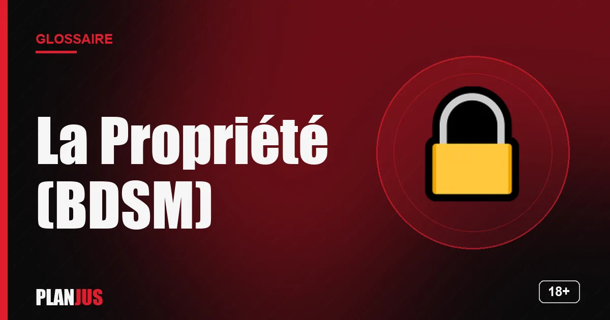 Illustration du terme « La Propriété (BDSM) » – glossaire PLANJUS