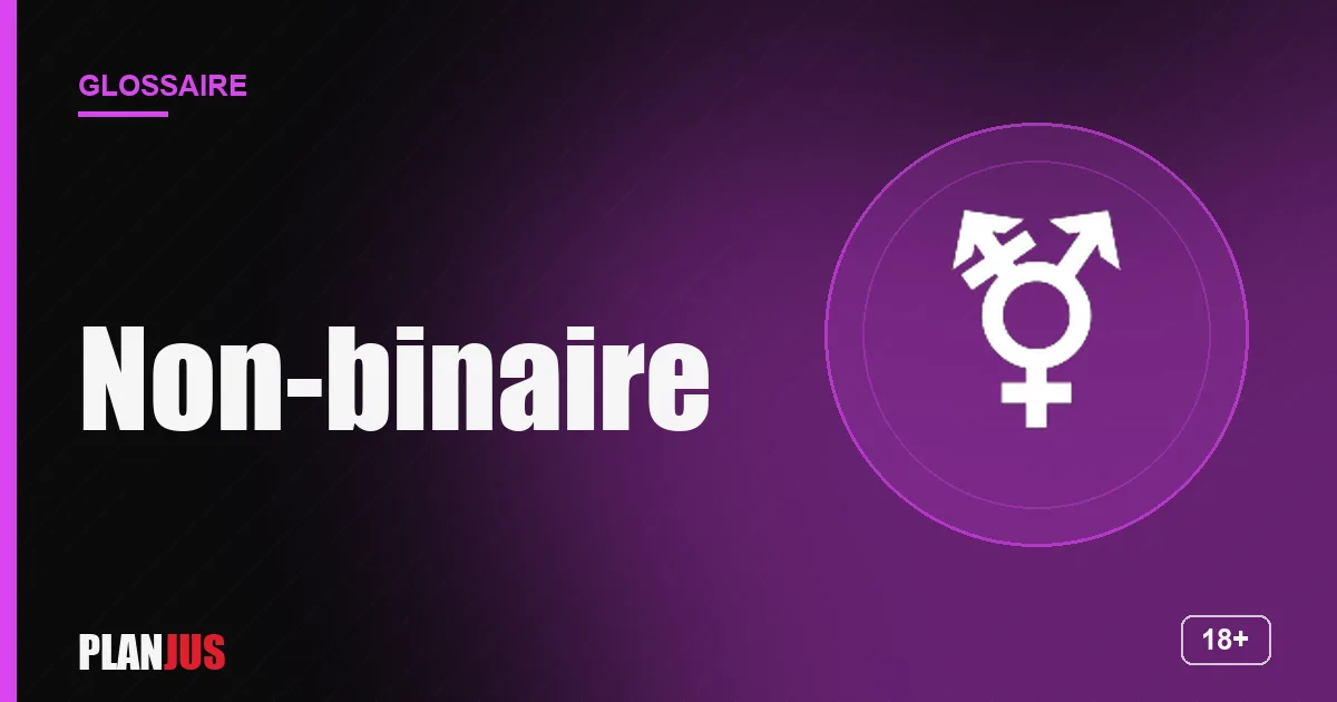 Illustration du terme « Non-binaire » – glossaire PLANJUS