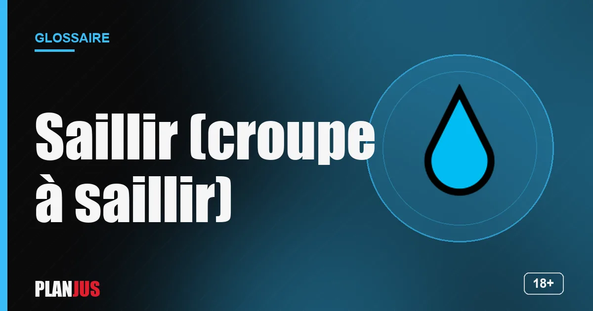 Illustration du terme « Saillir (croupe à saillir) » – glossaire PLANJUS