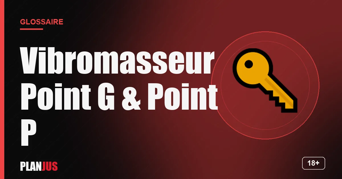 Illustration du terme « Vibromasseur Point G & Point P » – glossaire PLANJUS