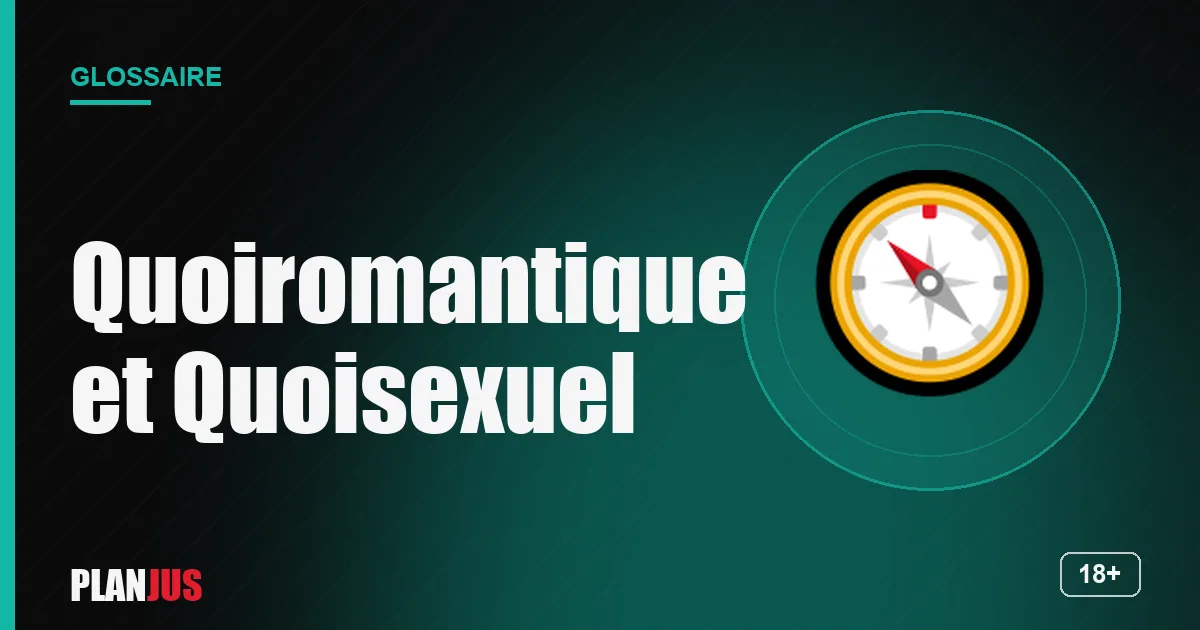 Illustration du terme « Quoiromantique et Quoisexuel » – glossaire PLANJUS
