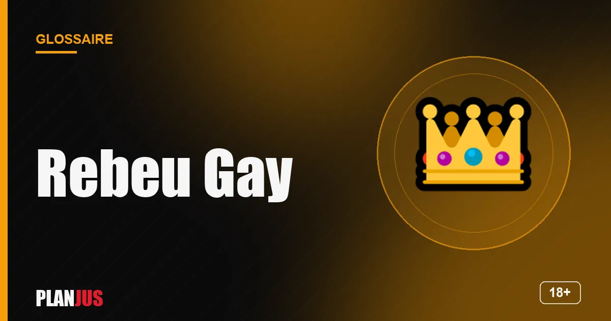 Illustration du terme « Rebeu Gay » – glossaire PLANJUS