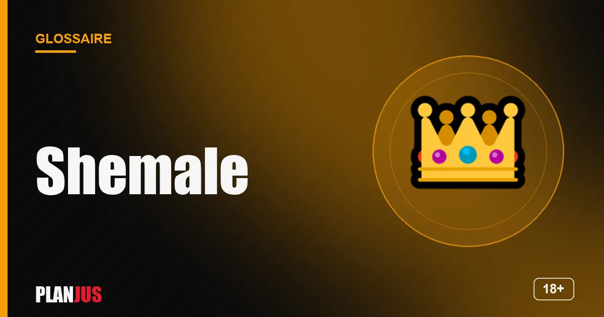 Illustration du terme « Shemale » – glossaire PLANJUS