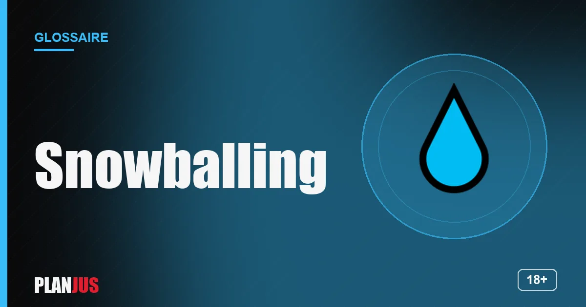 Illustration du terme « Snowballing » – glossaire PLANJUS