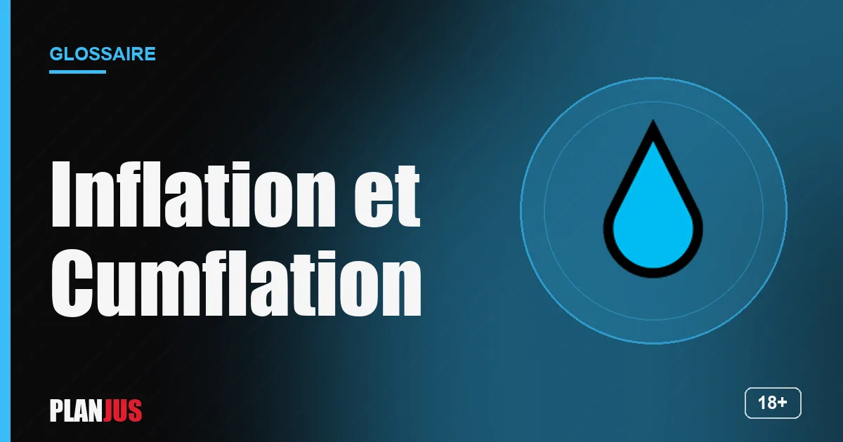 Illustration du terme « Inflation et Cumflation » – glossaire PLANJUS