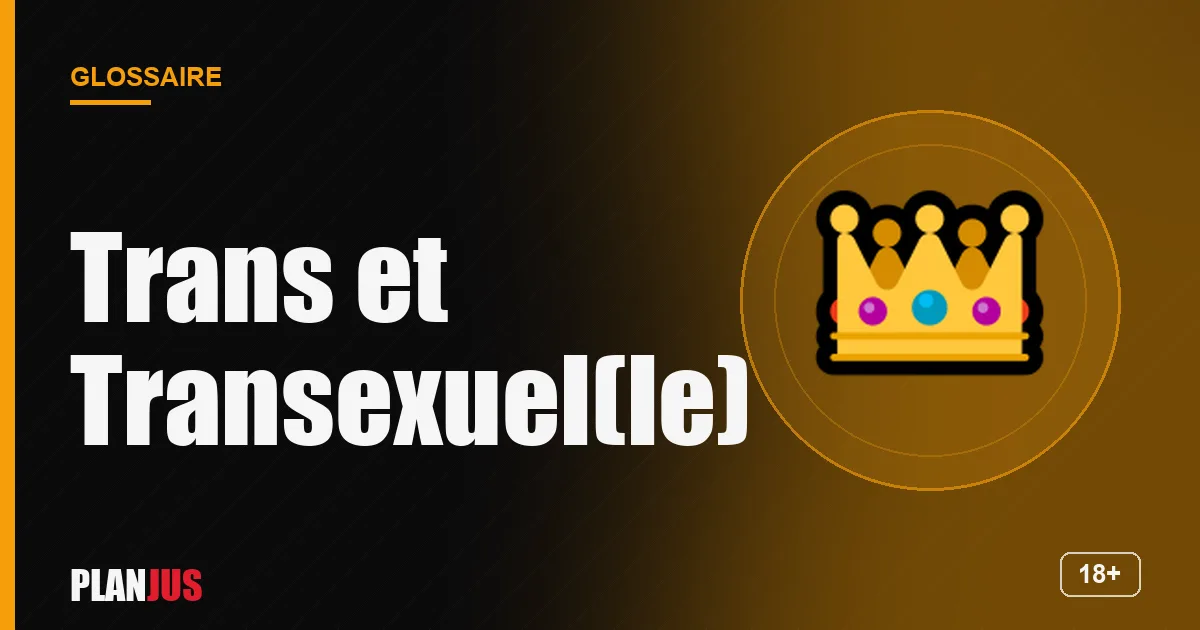 Illustration du terme « Trans et Transexuel(le) » – glossaire PLANJUS