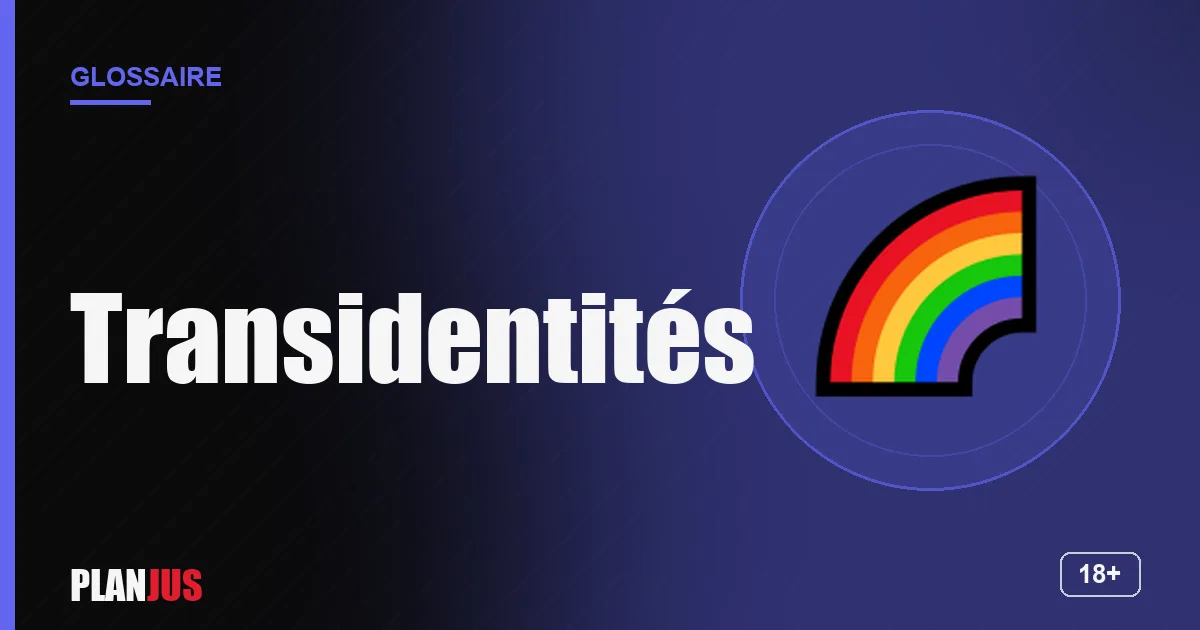 Illustration du terme « Transidentités » – glossaire PLANJUS