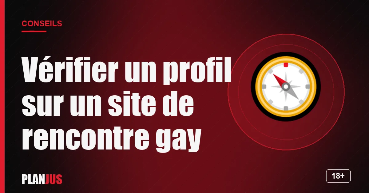 Illustration : Vérifier un profil sur un site de rencontre gay – conseils PLANJUS